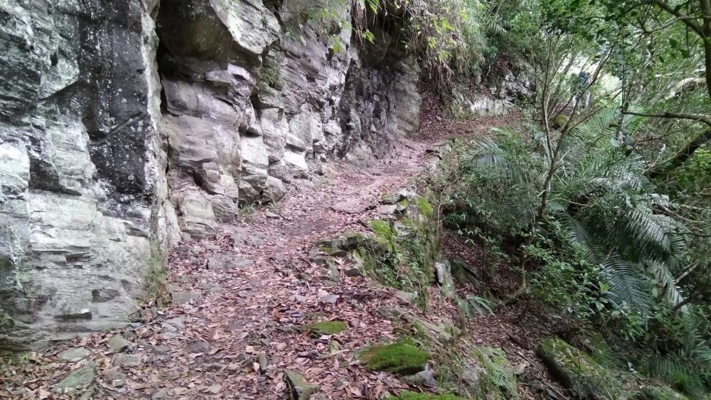 男子登山求助AI慘遭「鬼打牆」 回應讓他傻眼