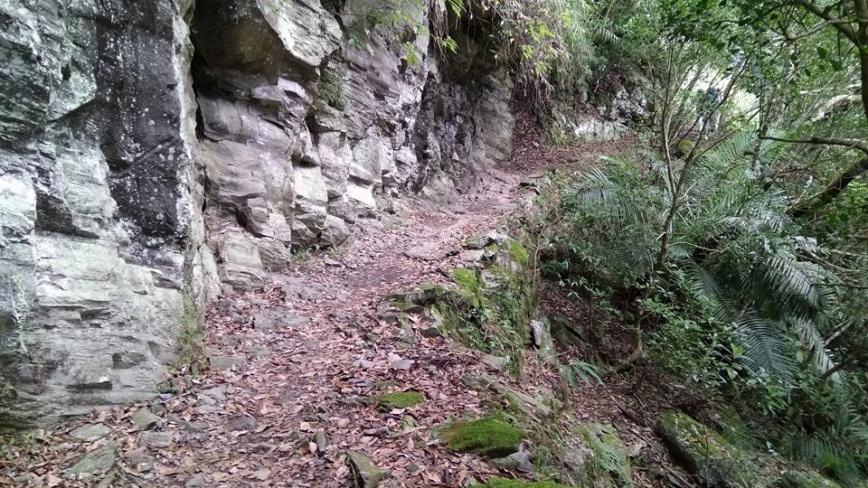 男子登山求助AI慘遭「鬼打牆」 回應讓他傻眼