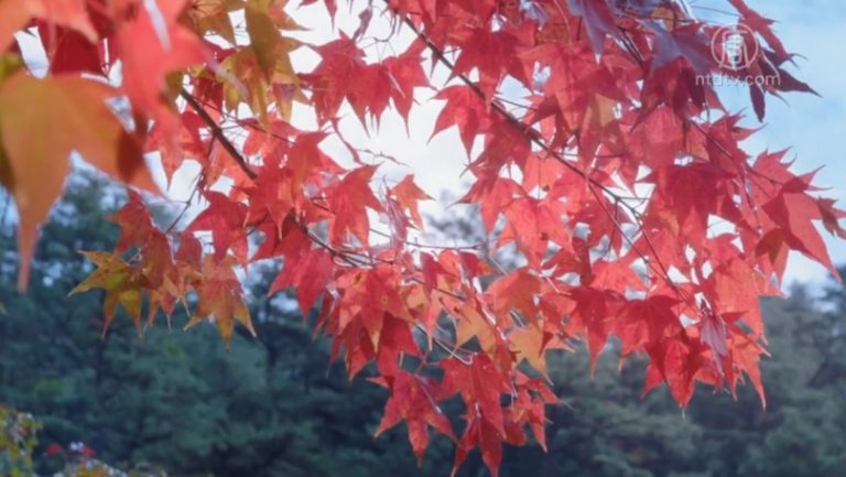 【我的音樂想想】秋色冬水染山霧
