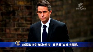 泄露政府对华为态度 英防长被首相开除