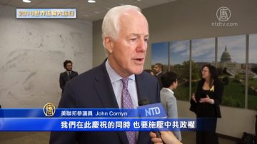 美國聯邦參議員John Cornyn賀大法日