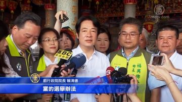 民進黨下週中執會 賴：雙方同時出席較有共識