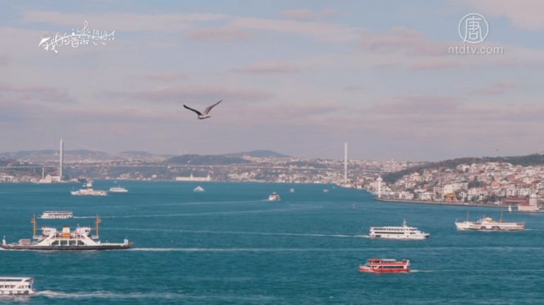 【我的音樂想想】海風輕起知歲月