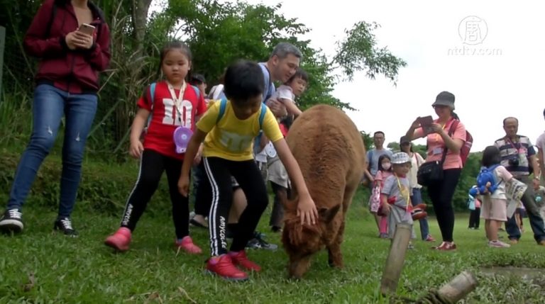 科技人暨業界齊獻愛心 弱勢學童親子生態遊