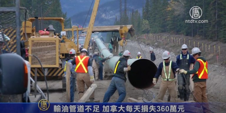 輸油管道不足 加拿大每天損失360萬元