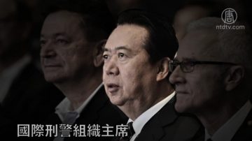 中共公安部前副部长孟宏伟被起诉