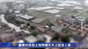 广东村民因土地问题天天上访没人管