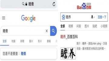 網友爆另類「試金石」 用Google、百度搜尋「這個詞」