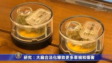 研究：大麻合法化导致更多车祸和伤害