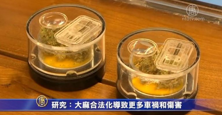 研究：大麻合法化導致更多車禍和傷害