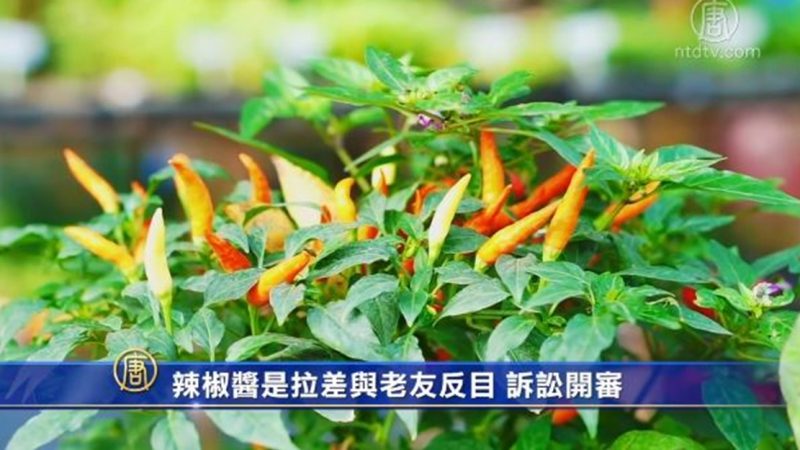 辣椒酱是拉差与老友反目 诉讼开审