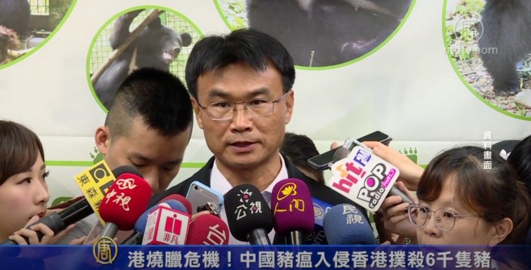 港燒臘危機！中國豬瘟入侵香港 將撲殺6千隻豬