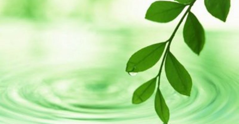 談古論今話中醫：認識糖尿病 正確治療及預防觀念一定要知