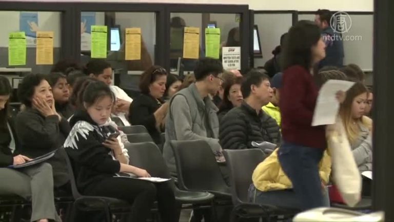 紐約非法移民可獲駕照？州府爭議巨大意見兩極