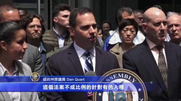 纽约州携带重力刀违法 议员提法案呼吁改革