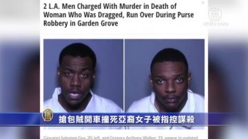 抢包贼开车撞死亚裔女子被指控谋杀