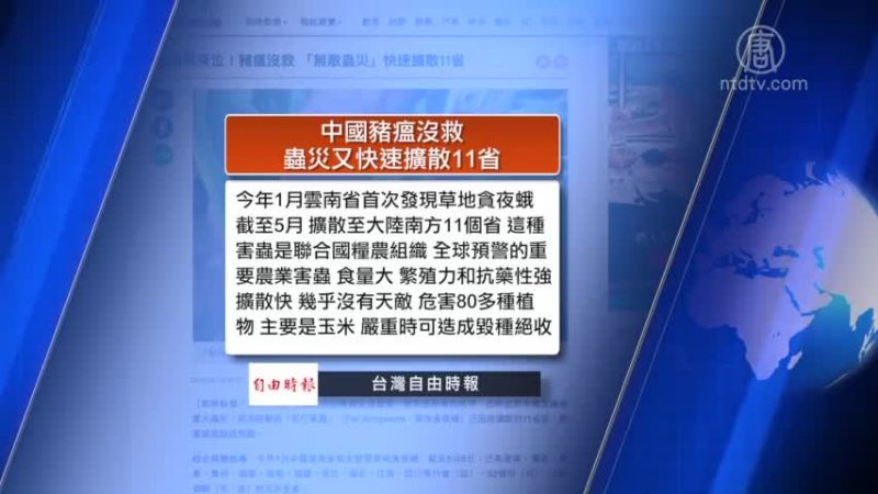 全球看中国：中国可怕虫灾快速扩散11省 贸易战下中共惧怕出现大规模返乡潮