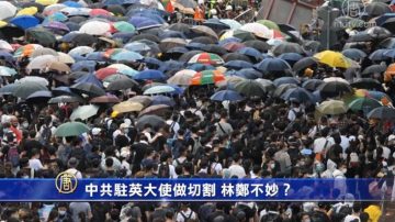 【禁闻】港人抗议期间 中共黑客攻击通讯平台