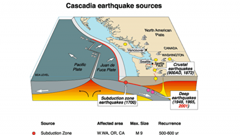新方法在地震发生十几秒内判断震级