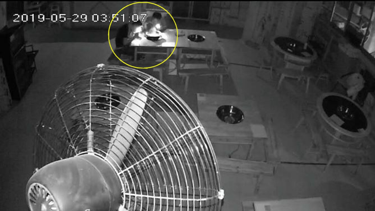 近日,四川2名男子深夜闖入一家串串店偷吃,連吃3天才被發現。(視頻截圖)