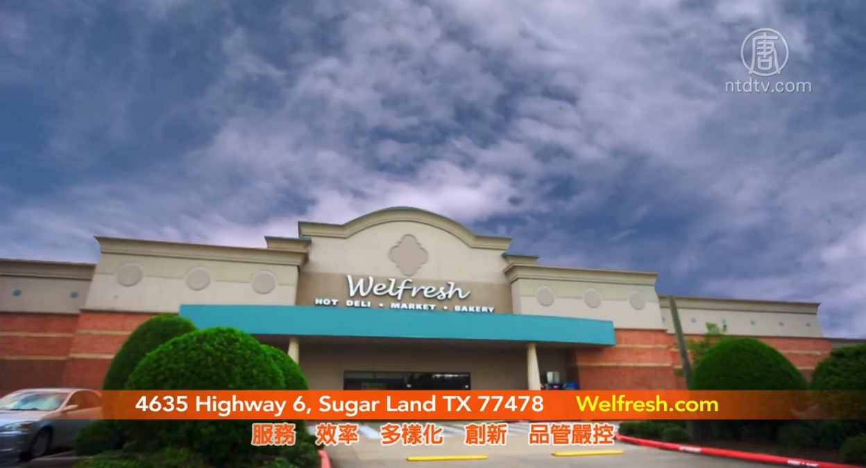 Welfresh Market Highway 6 Sugar Land Tx