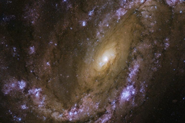 哈勃最新照片 鄰近星系恆星頻繁爆炸