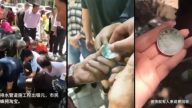 甘肅修排水管挖出銀元 市民蜂擁尋寶
