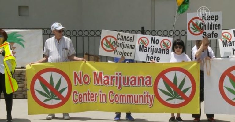 艾市大麻商要求撤回大麻項目 市民滿意
