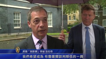 英国地方补选 “脱欧党”未能进入议会