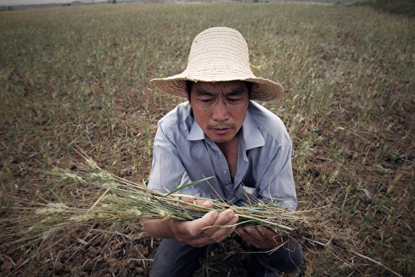文武 中共的糧食危機 外匯 美中貿易談判 貿易戰 新唐人中文電視台在線