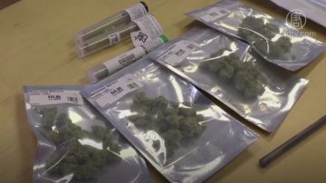 鼓励公车上吸大麻？ 加州提案漏洞多