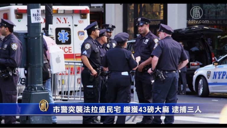 紐約警突襲法拉盛民宅 繳獲43磅大麻逮3華人