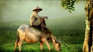 中華傳統美德故事（孝篇）之一：虞舜耕田