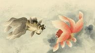 鱼死尚能复活 为何神仙难修成