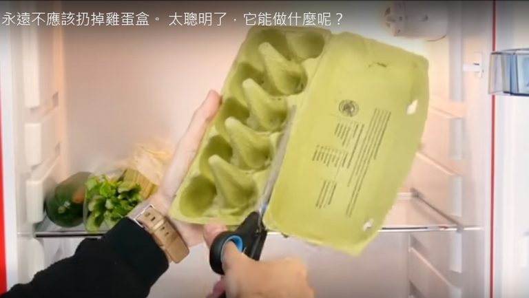 不應扔掉雞蛋盒 它能做什麼呢？（視頻）