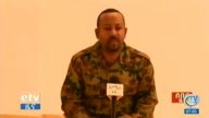 埃塞一自治州政變 陸軍參謀長遭保鏢槍撃身亡