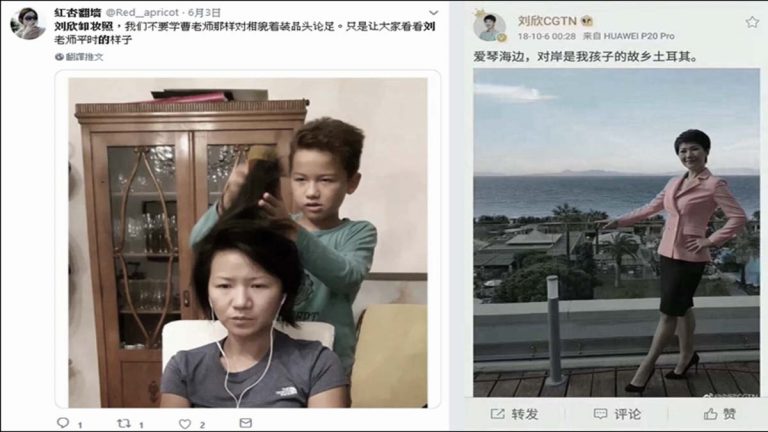 「離岸愛國者」劉欣允里根二次對話 中國人興趣索然