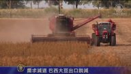 6月11日环球财经简讯