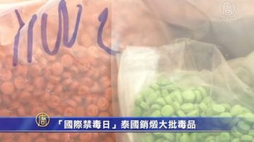 「國際禁毒日」泰國銷燬大批毒品