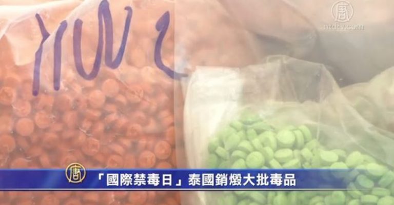 「國際禁毒日」泰國銷燬大批毒品