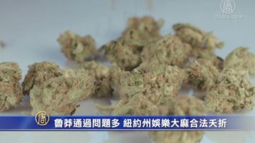 鲁莽通过问题多 纽约州娱乐大麻合法夭折