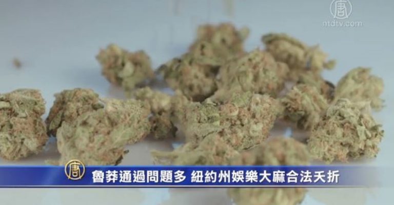 魯莽通過問題多 紐約州娛樂大麻合法夭折