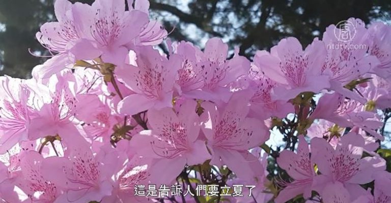 【廣告】馨香雅句-禮記.月令