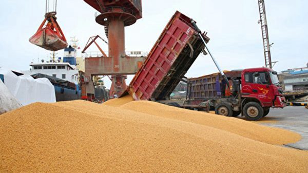 「川習會」前一刻 中國向美購買54萬噸大豆
