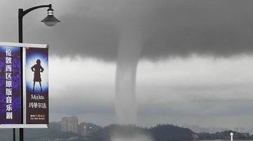 气温太高龙也渴了！ 珠海江门同日惊现巨大水龙卷