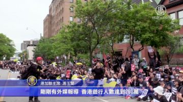 数百加人集会 声援香港“反送中”大游行