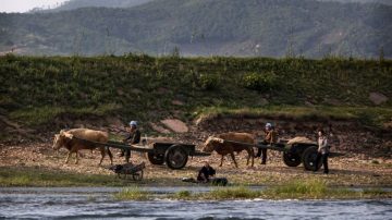 形势严峻 朝鲜被曝川金二会时向越南求粮援