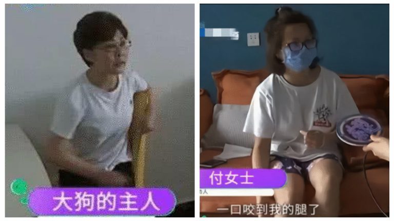 被大狗咬傷索賠不成 江蘇女子無奈將狗咬死