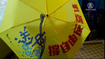 6.9反恶法大游行 加拿大四城市加入（视频）