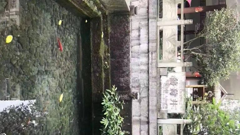 四川地震千年「葡萄井」一夜乾涸
